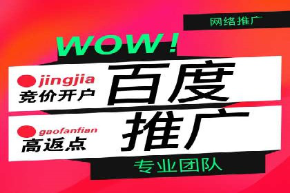 某电商平台的SEM策略与效果展示